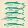 Stacked Sardines Funny Kitchen Decor - Green