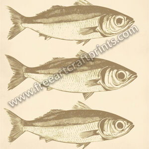 Ocean's Trio: Vintage Sardines Poster - Brown