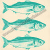 Ocean's Trio: Vintage Sardines Poster - Green