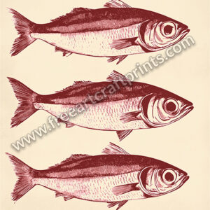 Ocean's Trio: Vintage Sardines Poster - Red