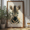 Baby Zebra Poster